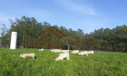 Chácara / sítio à venda na Zona Rural, Terenos 