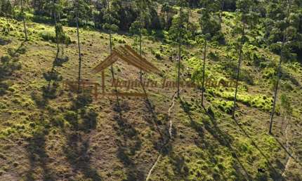 Chácara / sítio à venda na Zona Rural, Guareí 