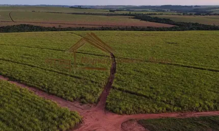 Fazenda para Venda em São Manuel, Área Rural de São Manuel