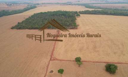 Fazenda para Venda em Cassilândia, Área Rural de Cassilândia