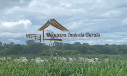 Fazenda para Venda em Januária, Área Rural de Januária