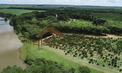 Fazenda à venda na Área Rural, Área Rural de Avaré, Avaré