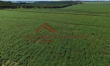 Fazenda à venda na Área Rural, Área Rural de Avaré, Avaré