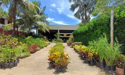 Ponto Comercial para Venda em Araruama, Coqueiral, 2 banheiros