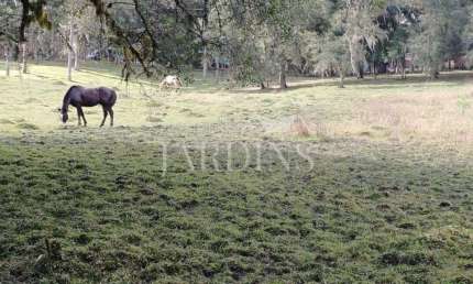 Fazenda à venda na Estrada Municipal Omacir Simões Da Rocha, -, Zona Rural, Campina Grande do Sul