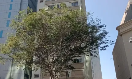 Apartamento com 2 quartos à venda na Rua Treze de Maio, 1911, Bela Vista, São Paulo