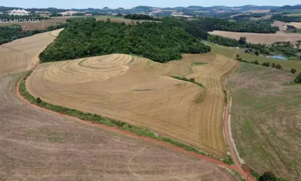 AREA RURAL A VENDA NA CIDADE DE PATO BRANCO - LINHA RIO CAÇADORZINHO