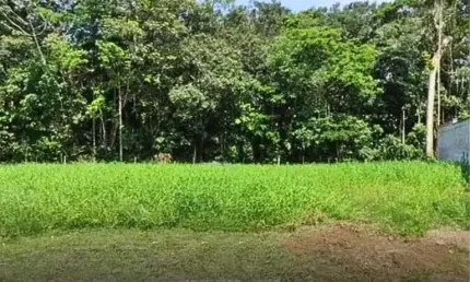 Terreno à venda, 458 m² por R$ 4.500.000,00 - Rivieira - Bertioga/SP