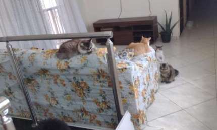 Casa para Venda em Suzano, Cidade Boa Vista, 4 dormitórios, 1 suíte, 3 banheiros, 2 vagas