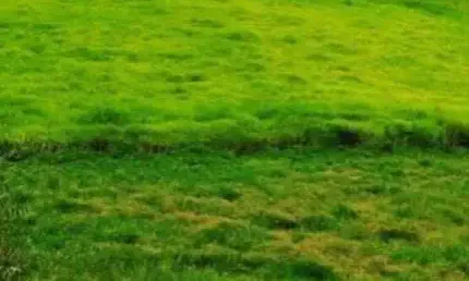 Terreno à venda na Rua Tomi Saburo Yamamoto, Jardim das Cerejeiras, Arujá