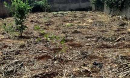Terreno à venda na Rua das Acácias, Cidade Jardim, Uberlândia