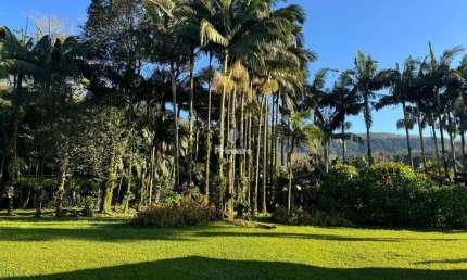Chácara / sítio com 3 quartos à venda na Vila Maria, 100, Zona Rural, Nova Veneza