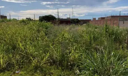 Lote / terreno em jardim das oliveiras  -  foz do iguaçu