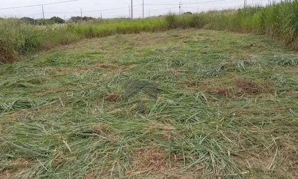 Terreno à venda no Porto Belo, Foz do Iguaçu 