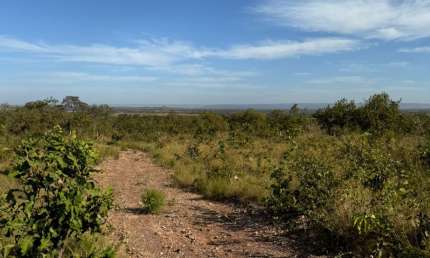 Chácara / sítio à venda na Rua Principal, km 33, Zona Rural, Nobres