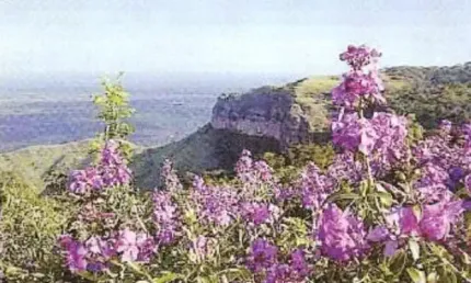 Chácara / sítio à venda na Rua Fernando Correa, 100, Bom Clima, Chapada dos Guimarães
