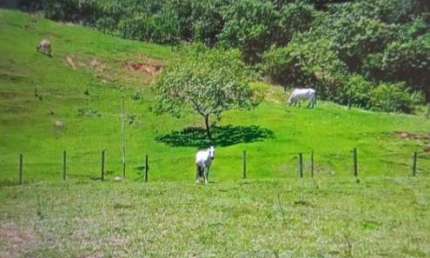 Chácara / sítio à venda na Rocha Leão, Rocha Leão, Rio das Ostras