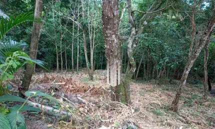 Terreno à venda, 3416 m² - Cigarras - São Sebastião/SP