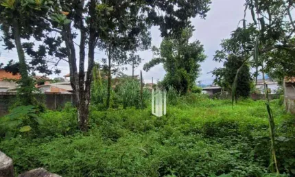 Terreno à venda, 440 m² por R$ 210.000,00 - Massaguaçu - Caraguatatuba/SP