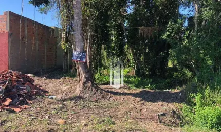 Terreno à venda, 490 m² por r$ 330.000,00 - jardim das gaivotas - caraguatatuba/sp