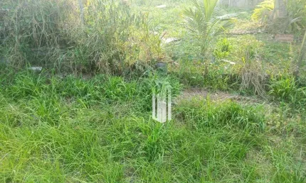 Terreno à venda, 294 m² por R$ 19.500 - Balneário Recanto Do Sol - Caraguatatuba