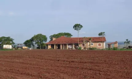 Fazenda para Venda em Araras, Jardim Nova Europa, 3 dormitórios, 2 suítes, 4 banheiros, 5 vagas