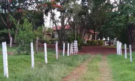 Sítio para Venda em Leme, Jardim Eroísi, 3 dormitórios, 2 suítes, 3 banheiros, 5 vagas