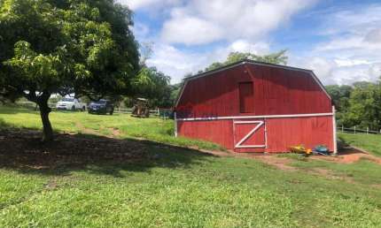 Haras em Atibaia - Um lugar de magia junto a natureza onde você poderá desfrutar