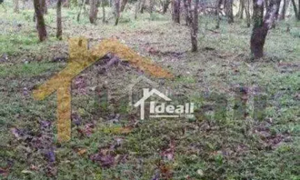 Terreno Residencial à venda, Vera Cruz, Gravataí - TE1009.
