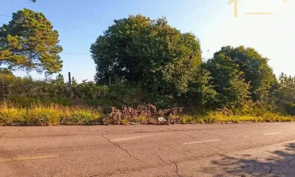 Terreno à venda, 300 m² por R$ 111.300,00 - Lomba da Palmeira - Sapucaia do Sul/RS