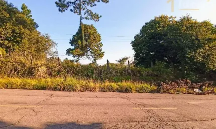 Terreno à venda, 300 m² por R$ 112.000,00 - Lomba da Palmeira - Sapucaia do Sul/RS
