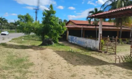 Chácara / sítio com 3 quartos à venda no Urucará, Maranguape 