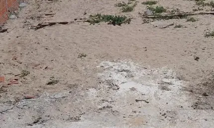 Terreno à venda no Sucatinga, Beberibe 