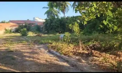 Terreno à venda na Centro Da Taiba, Taíba, São Gonçalo do Amarante