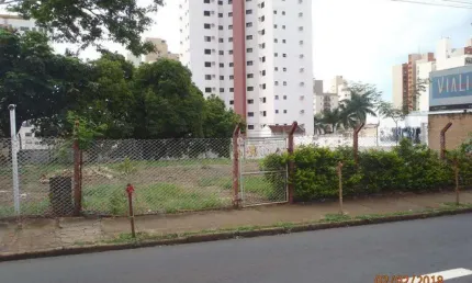 Terreno comercial para alugar no Centro, São José do Rio Preto 