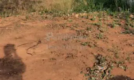 Terreno à venda no Centro, Adolfo 