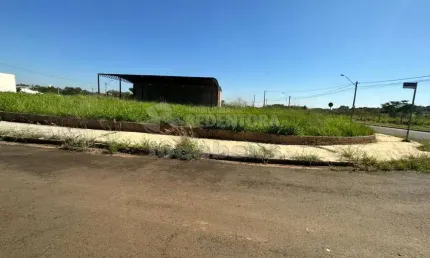 Terreno à venda no Residencial Santa Regina, São José do Rio Preto 