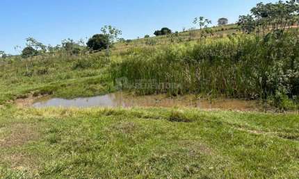 Fazenda à venda no Centro, Santa Fé do Sul 