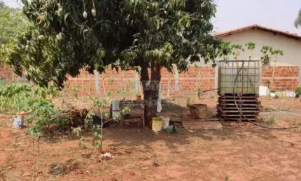 Chácara / sítio à venda no Centro, Ipiguá 