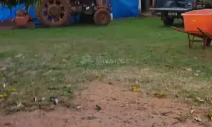 Fazenda à venda na Água Limpa I, Bady Bassitt 