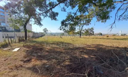 Terreno / Área À  Venda com 8.000 m² na  Vila São Judas Tadeu