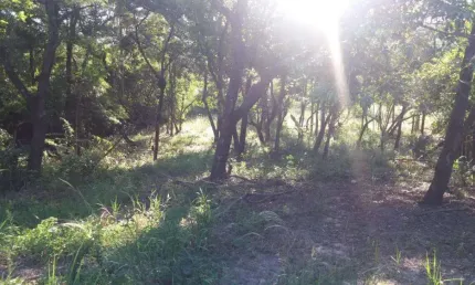 Terreno / área à venda  com 5.670 m³ na estância gramado (zona rural)