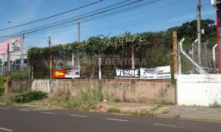 Av Alfredo Folchini - área de 2.000m² com testada de 20 metros, Marginal da Washington Luiz