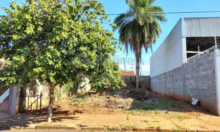 Terreno à venda no Jardim Conceição, São José do Rio Preto 