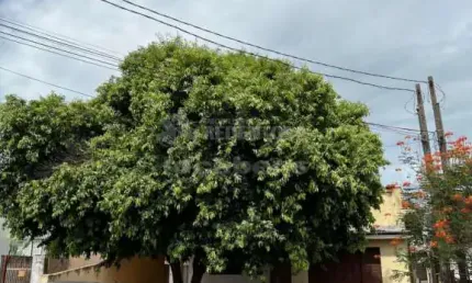 Casa localizada no bairro Jardim Canaa com 2 dormitórios e 2 vagas de garagem.