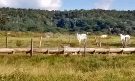 Fazenda à venda na Zona Rural, Caiapônia 