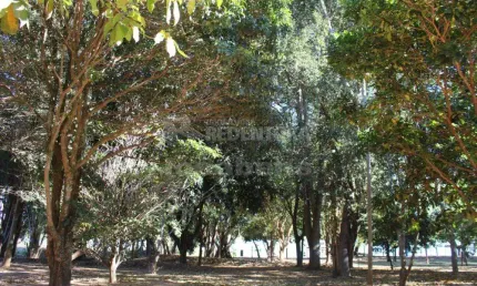 Chácara / sítio com 2 quartos à venda na Zona Rural, Adolfo 