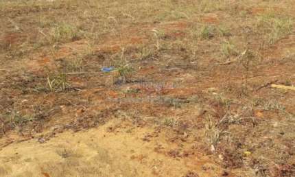 Terreno à venda no Aldeia Do Vale, Planura 
