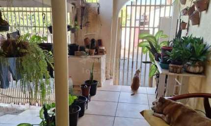 Casa com 3 quartos à venda na Vila Diniz, São José do Rio Preto 