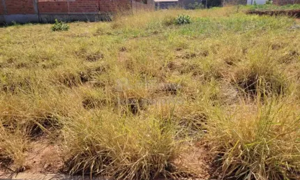Ótimo Terreno para Locação com 200m² - Setvalley III